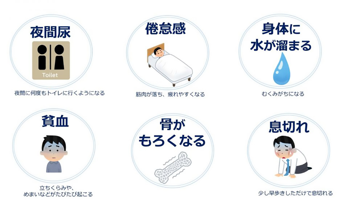 腎臓が悪くなると
